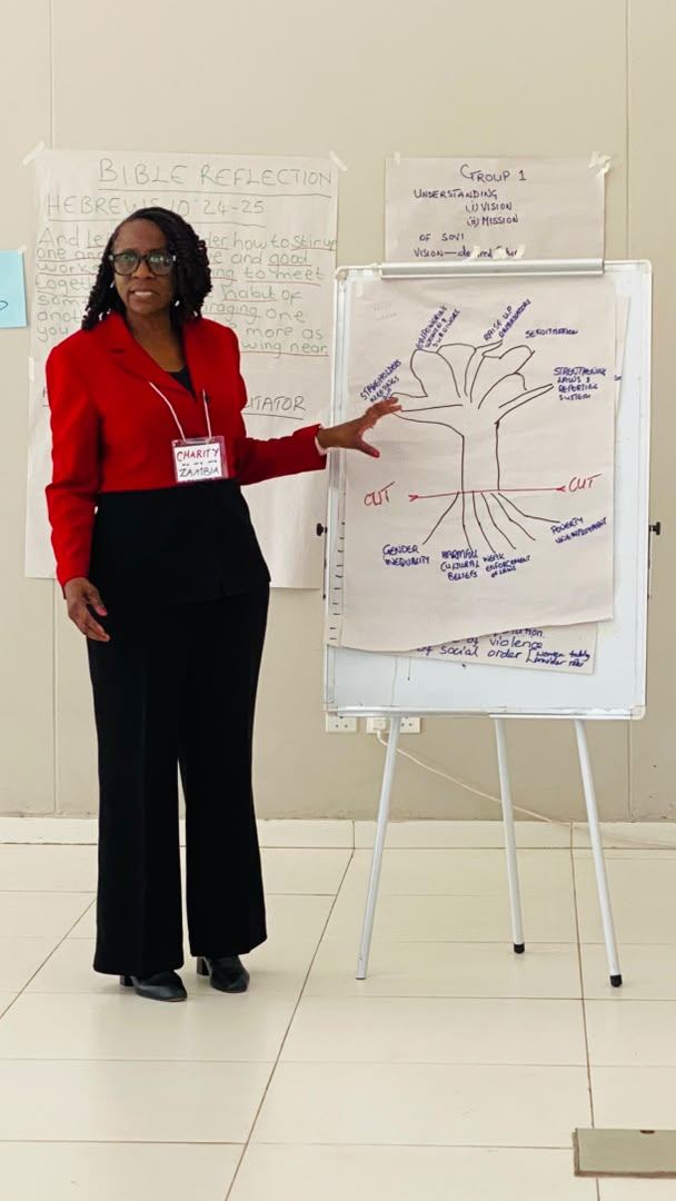 A facilitator points to a hand-drawn problem tree on a flip chart, its roots labelled with causes of violence.